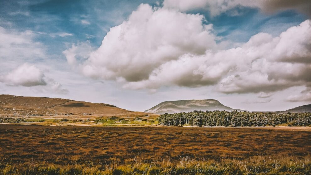 Photo moors landscape